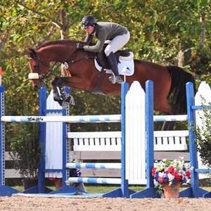 Meet your Posher, Charles